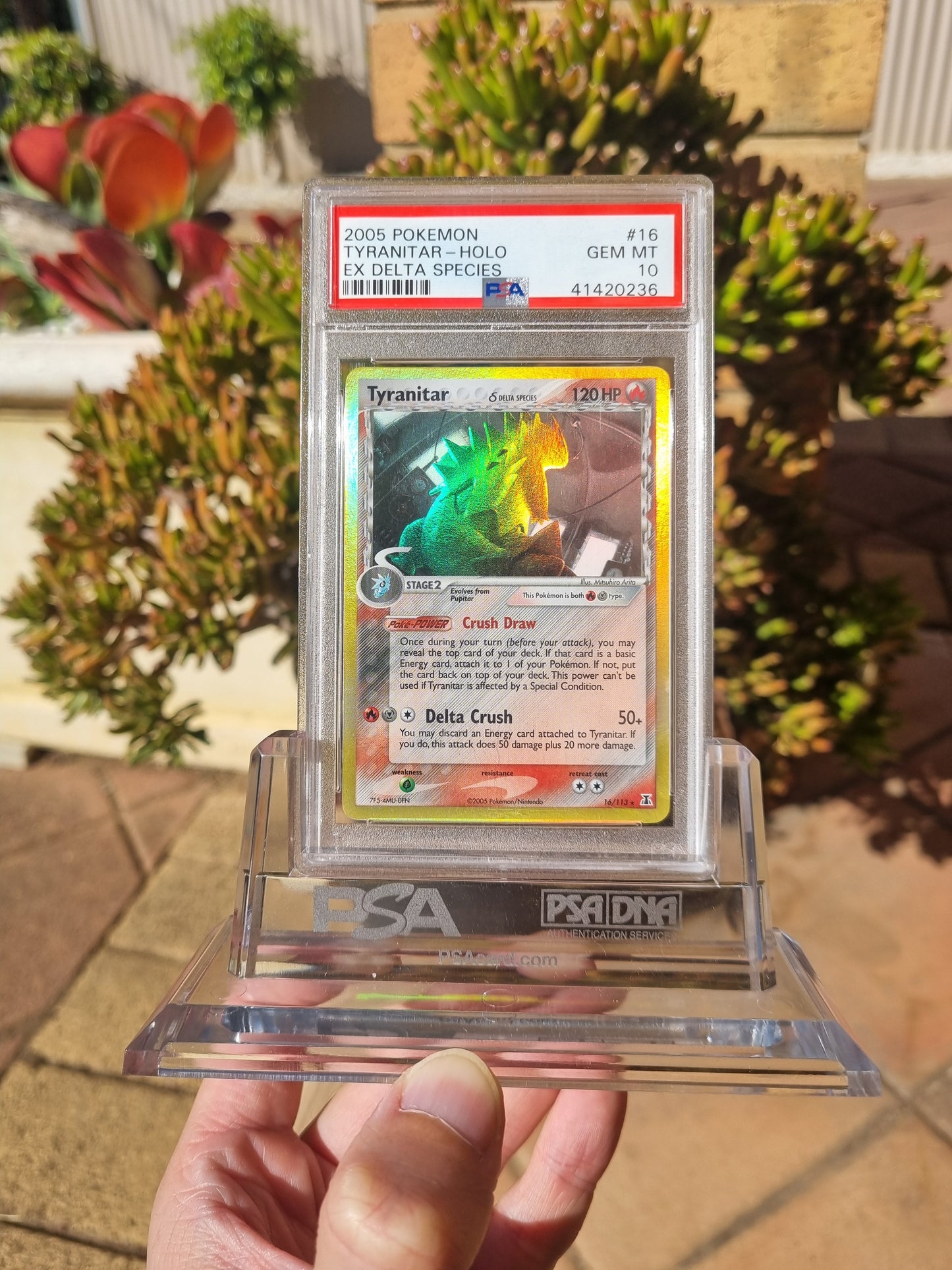 PSA 10 Tyranitar Ex Delta Species Holo Rare 2005 #16 GEM MINT